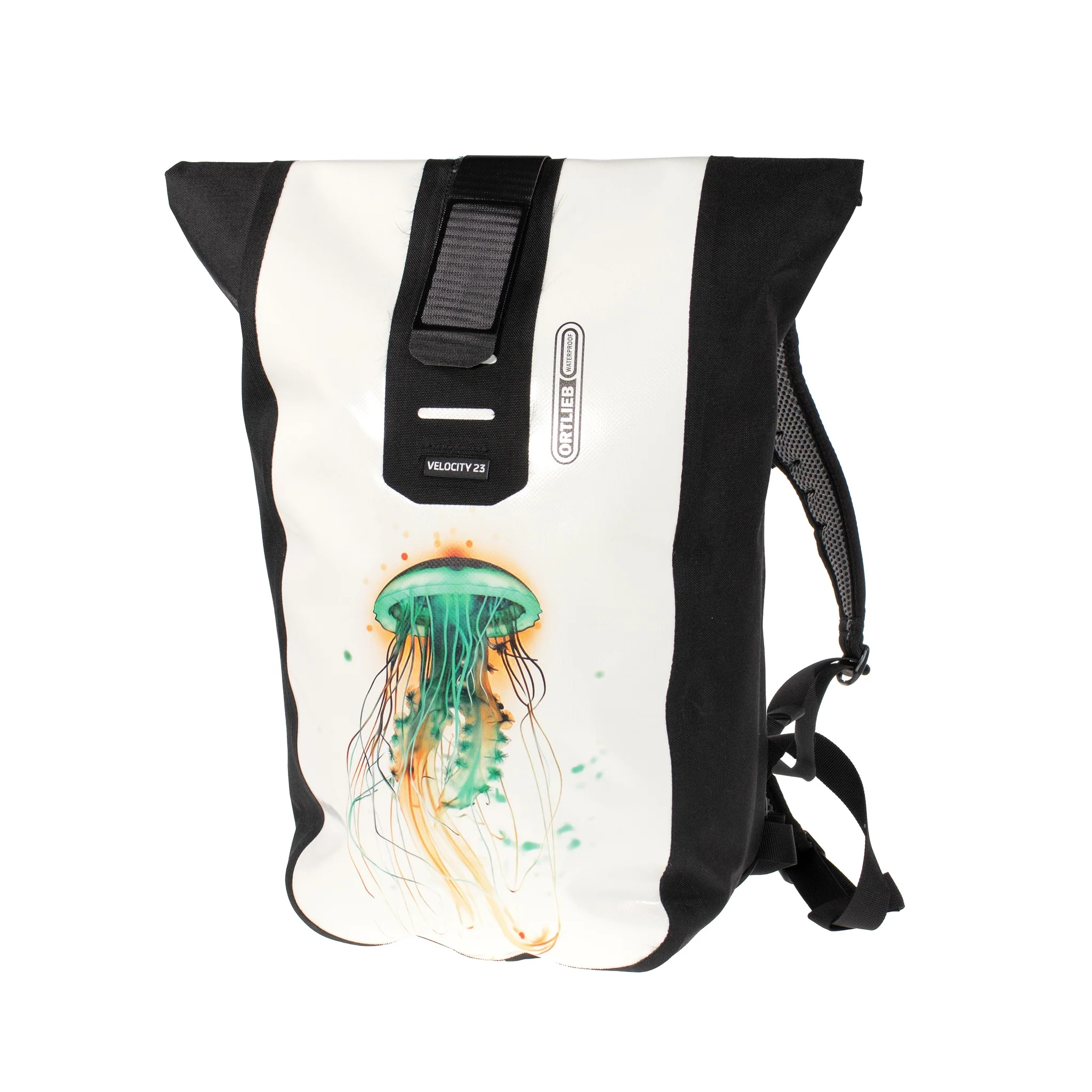 Velocity Design - Image 4
